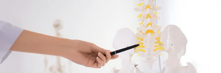 chiropractic-schooling